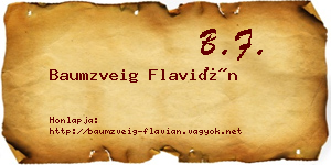 Baumzveig Flavián névjegykártya